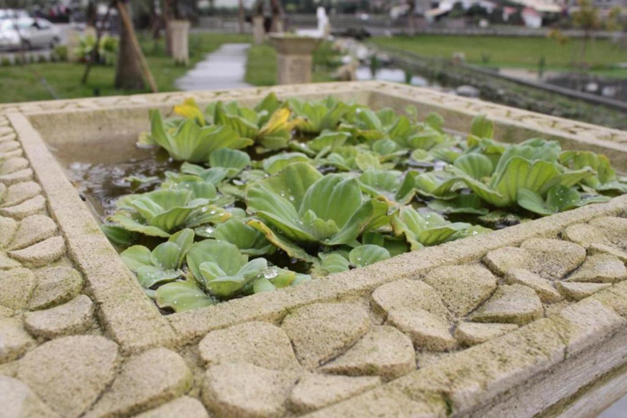 Aqua Star Villa Homestay Dongshan  Exteriér fotografie